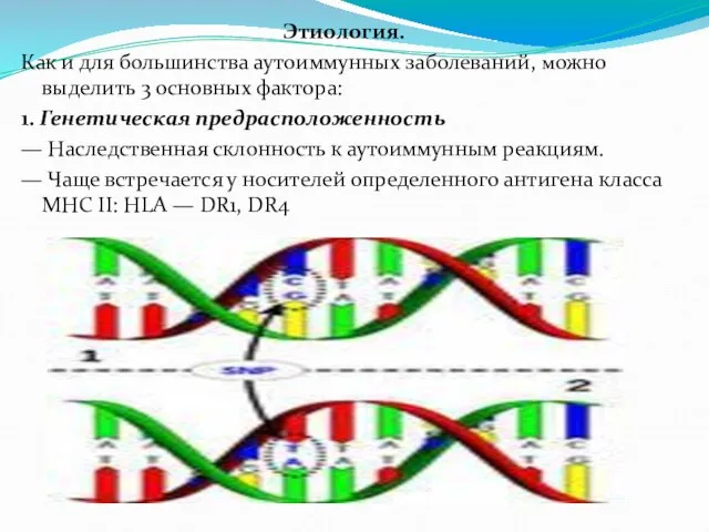 Этиология. Как и для большинства аутоиммунных заболеваний, можно выделить 3 основных