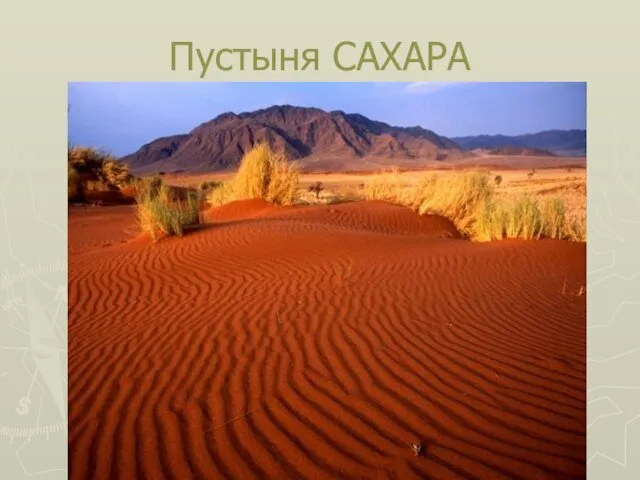 Пустыня САХАРА