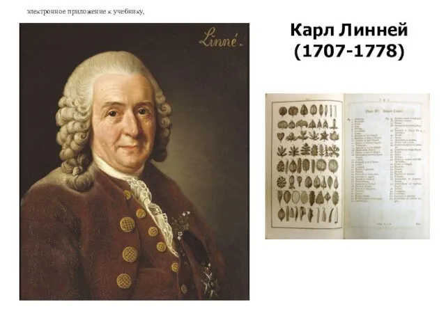 электронное приложение к учебнику, Карл Линней (1707-1778)