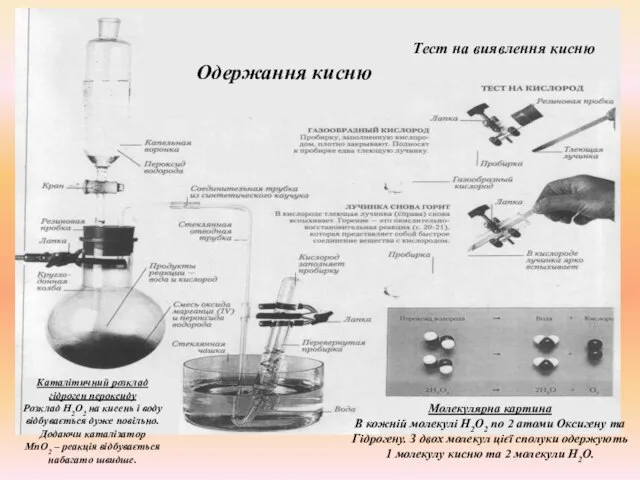 Одержання кисню Молекулярна картина В кожній молекулі Н2О2 по 2 атоми