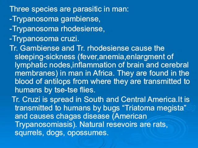 Three species are parasitic in man: -Trypanosoma gambiense, -Trypanosoma rhodesiense, -Trypanosoma