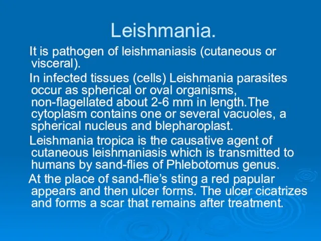 Leishmania. It is pathogen of leishmaniasis (cutaneous or visceral). In infected