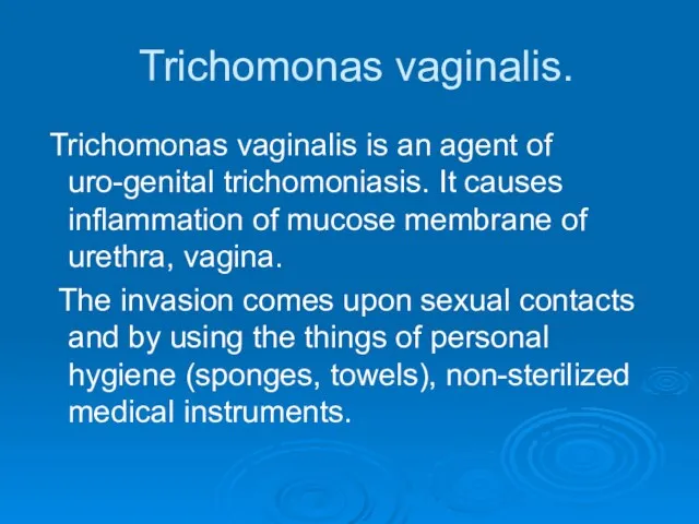 Trichomonas vaginalis. Trichomonas vaginalis is an agent of uro-genital trichomoniasis. It