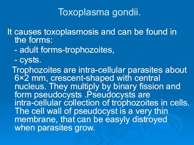 Toxoplasma gondii. It causes toxoplasmosis and can be found in the