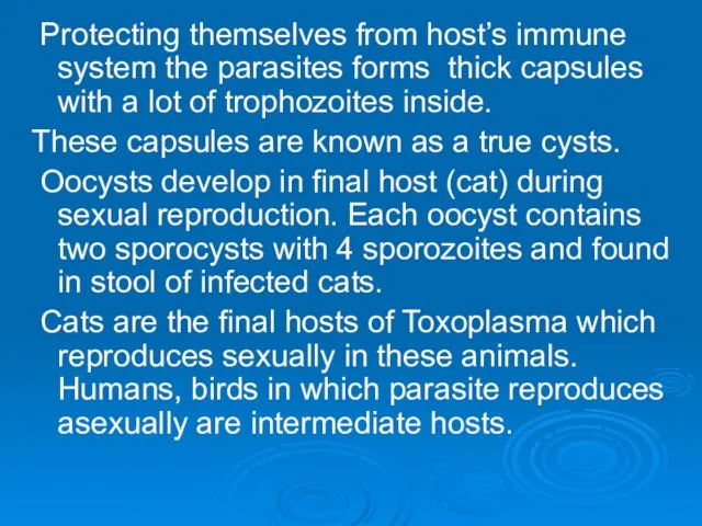 Protecting themselves from host’s immune system the parasites forms thick capsules