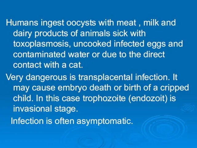 Humans ingest oocysts with meat , milk and dairy products of
