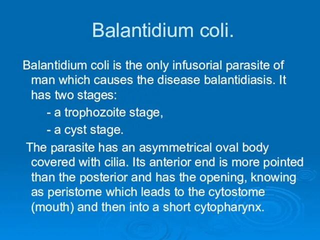 Balantidium coli. Balantidium coli is the only infusorial parasite of man