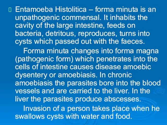 Entamoeba Histolitica – forma minuta is an unpathogenic commensal. It inhabits