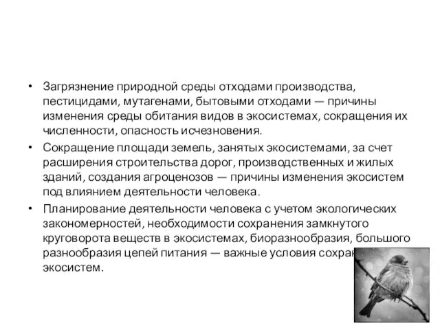 Загрязнение природной среды отходами производства, пестицидами, мутагенами, бытовыми отходами — причины