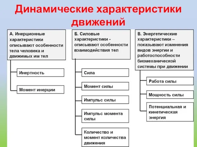 Динамические характеристики движений