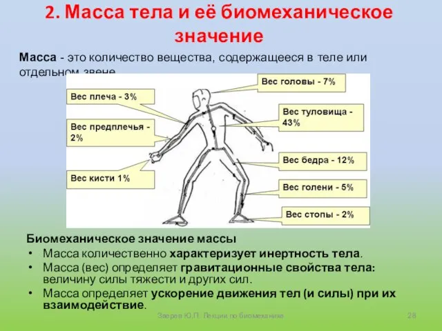 2. Масса тела и её биомеханическое значение Биомеханическое значение массы Масса