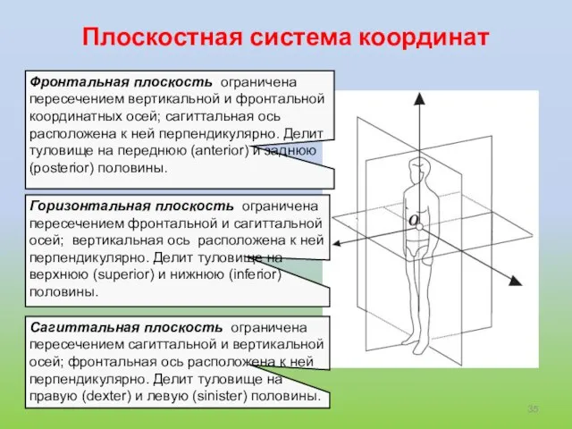 Плоскостная система координат