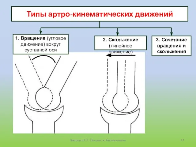 Типы артро-кинематических движений 3. Сочетание вращения и скольжения Зверев Ю.П. Лекции по биомеханике