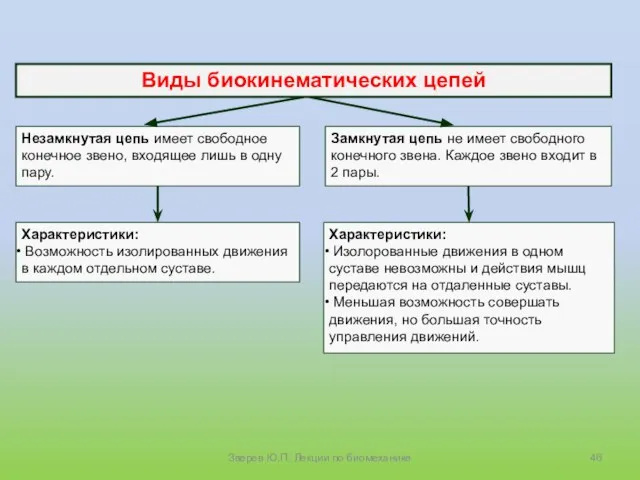 Зверев Ю.П. Лекции по биомеханике