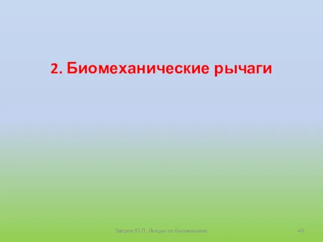 2. Биомеханические рычаги Зверев Ю.П. Лекции по биомеханике