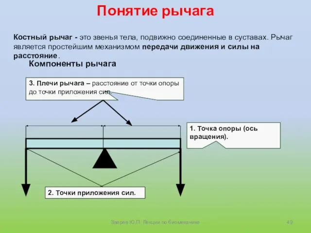 Понятие рычага Костный рычаг - это звенья тела, подвижно соединенные в