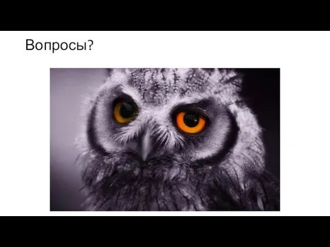 Вопросы?