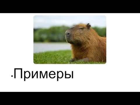 Примеры