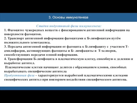 3. Основы иммуногенеза Стадии индуктивной фазы иммуногенеза: 1. Фагоцитоз чужеродных веществ