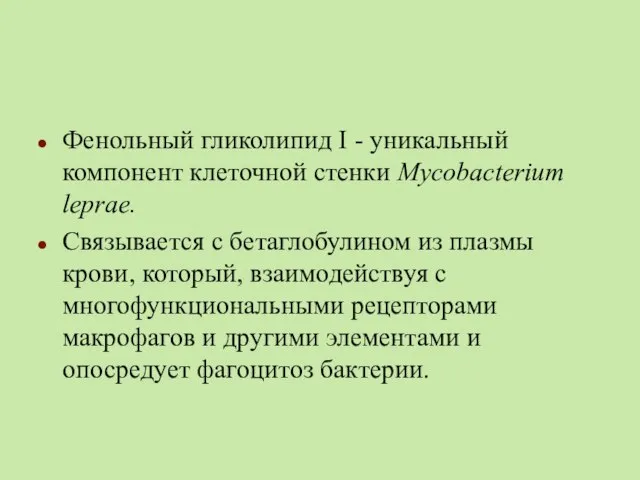 Фенольный гликолипид I - уникальный компонент клеточной стенки Mycobacterium leprae. Связывается