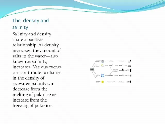 The density and salinity Salinity and density share a positive relationship.