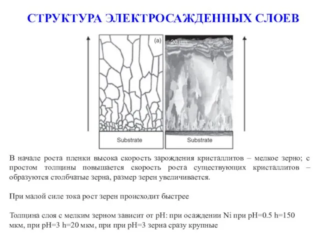 СТРУКТУРА ЭЛЕКТРОСАЖДЕННЫХ СЛОЕВ В начале роста пленки высока скорость зарождения кристаллитов