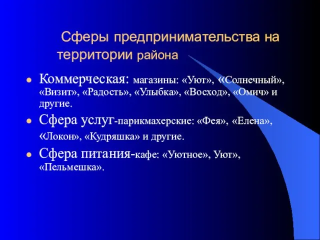 Сферы предпринимательства на территории района Коммерческая: магазины: «Уют», «Солнечный», «Визит», «Радость»,