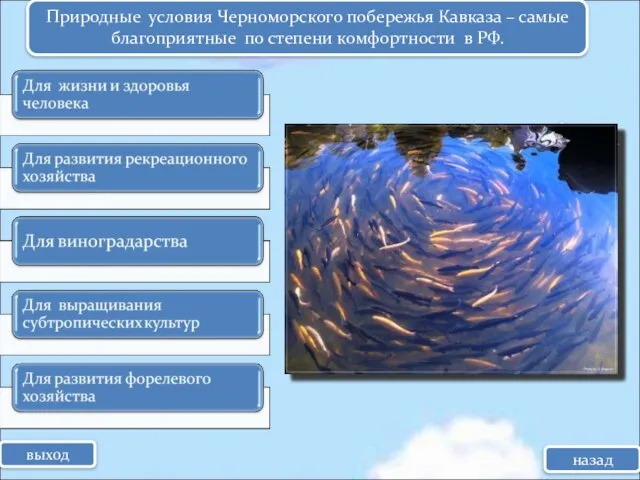 Природные условия Черноморского побережья Кавказа – самые благоприятные по степени комфортности в РФ. выход назад