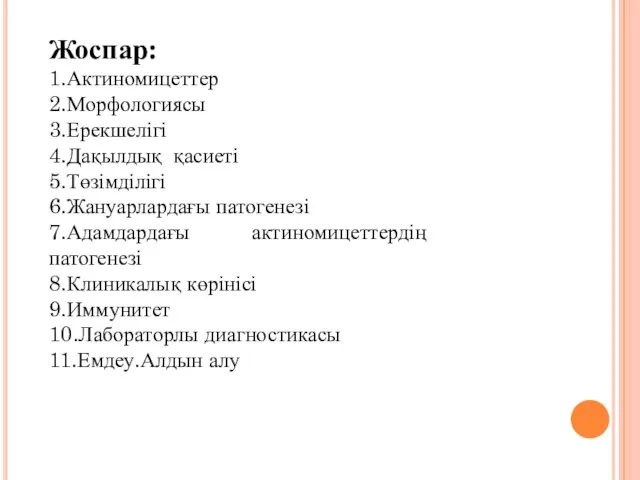 Жоспар: 1.Актиномицеттер 2.Морфологиясы 3.Ерекшелігі 4.Дақылдық қасиеті 5.Төзімділігі 6.Жануарлардағы патогенезі 7.Адамдардағы актиномицеттердің