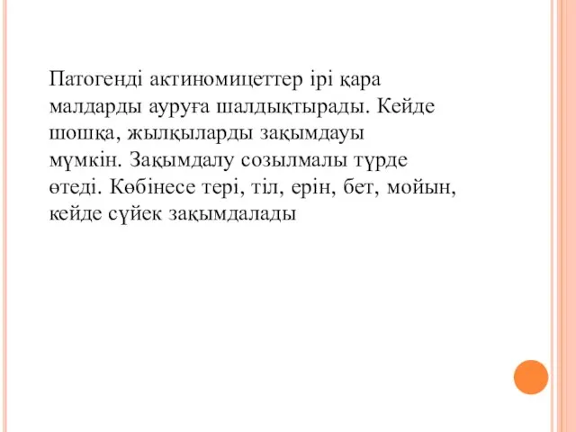 Патогенді актиномицеттер ірі қара малдарды ауруға шалдықтырады. Кейде шошқа, жылқыларды зақымдауы