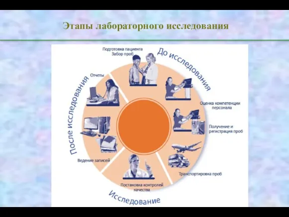 Этапы лабораторного исследования