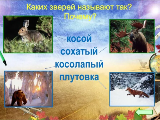 Каких зверей называют так? Почему? косой сохатый косолапый плутовка