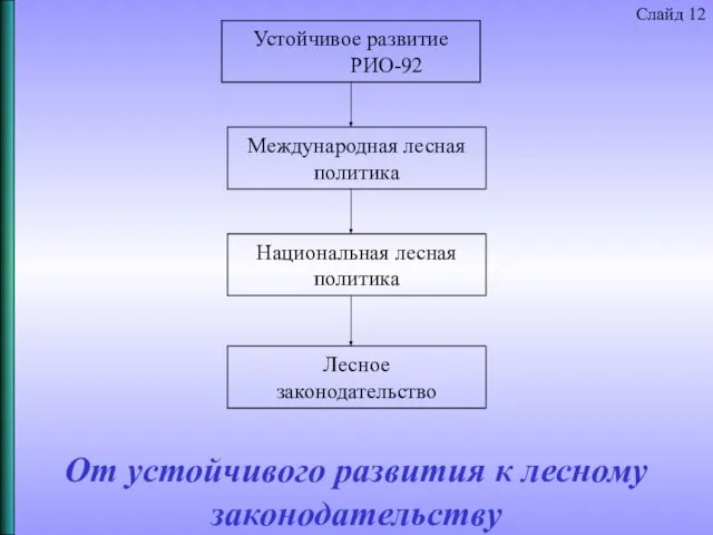 От устойчивого развития к лесному законодательству Устойчивое развитие РИО-92 Международная лесная