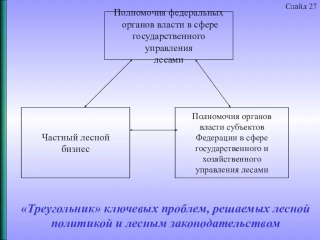 «Треугольник» ключевых проблем, решаемых лесной политикой и лесным законодательством Слайд 27