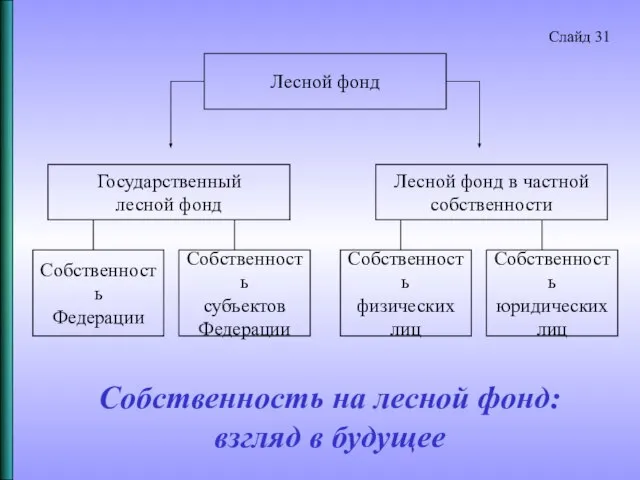 Собственность на лесной фонд: взгляд в будущее Слайд 31