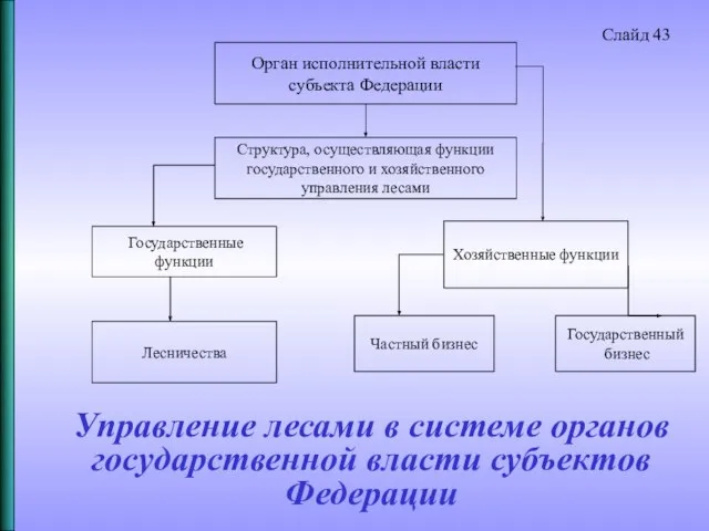 Управление лесами в системе органов государственной власти субъектов Федерации Орган исполнительной