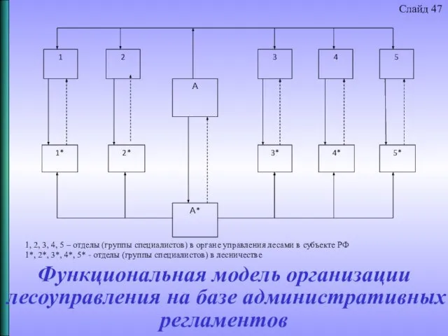 Функциональная модель организации лесоуправления на базе административных регламентов Слайд 47 1,