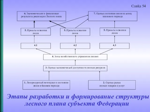 Этапы разработки и формирование структуры лесного плана субъекта Федерации Слайд 54