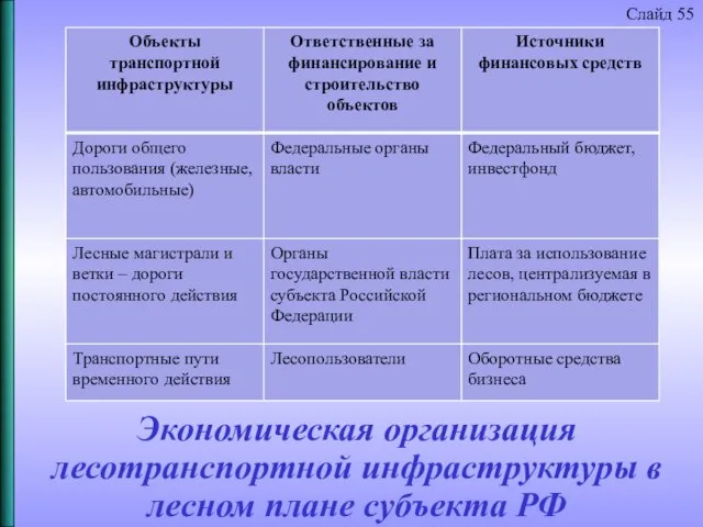 Экономическая организация лесотранспортной инфраструктуры в лесном плане субъекта РФ Слайд 55