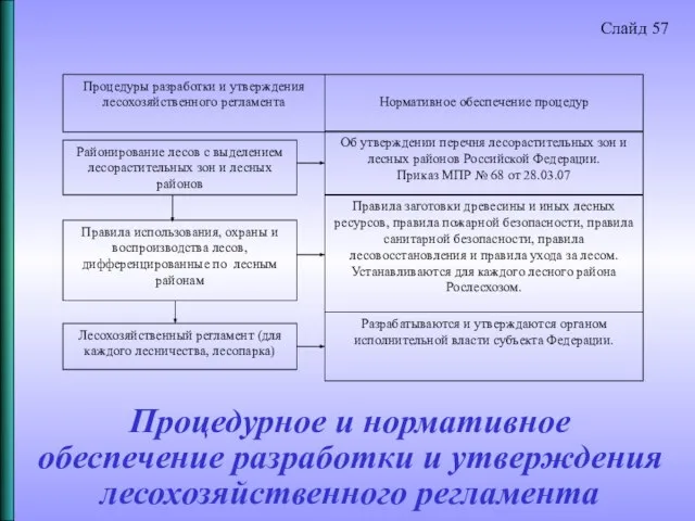 Процедурное и нормативное обеспечение разработки и утверждения лесохозяйственного регламента Слайд 57