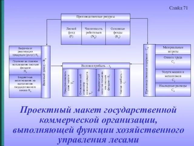 Проектный макет государственной коммерческой организации, выполняющей функции хозяйственного управления лесами Слайд 71