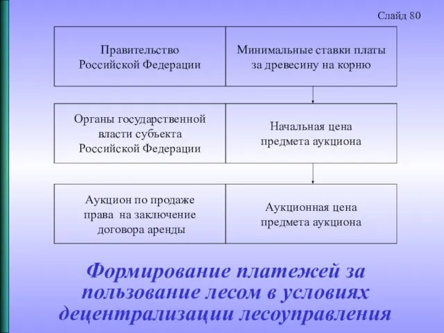 Формирование платежей за пользование лесом в условиях децентрализации лесоуправления Правительство Российской