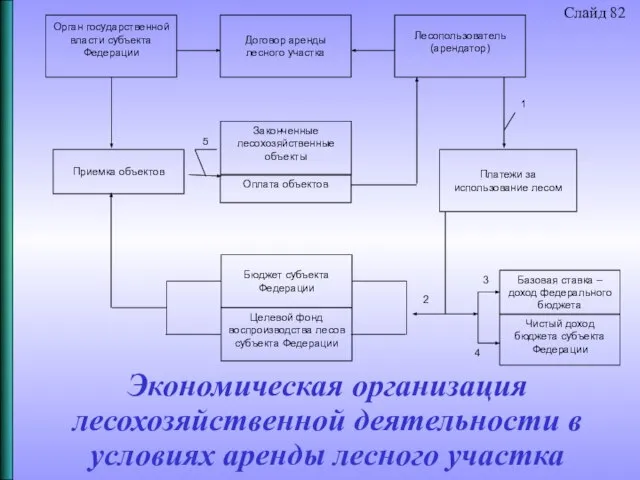 Экономическая организация лесохозяйственной деятельности в условиях аренды лесного участка Слайд 82