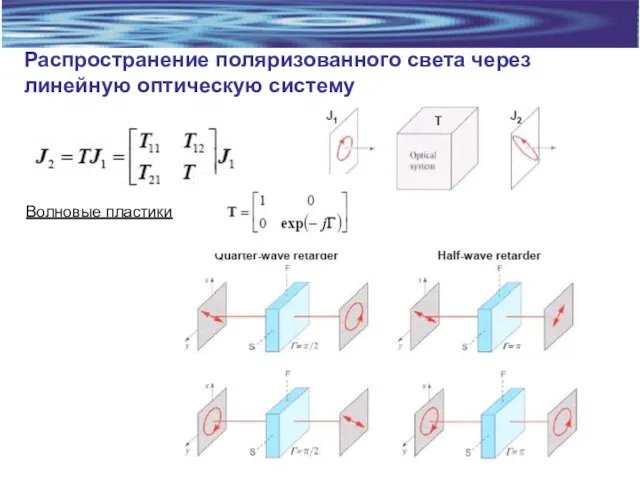 Распространение поляризованного света через линейную оптическую систему Волновые пластики