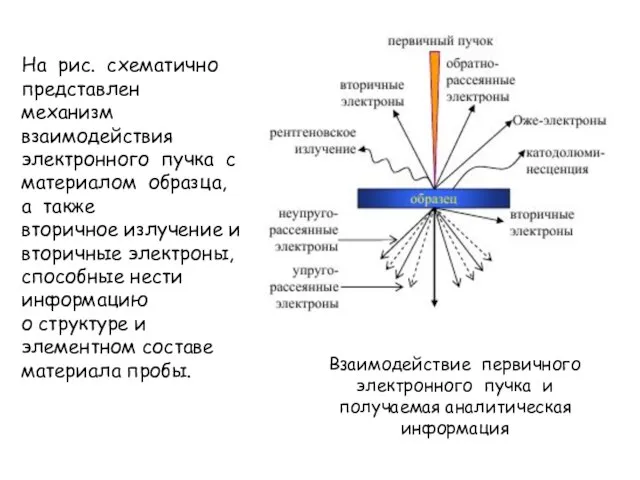 На рис. схематично представлен механизм взаимодействия электронного пучка с материалом образца,