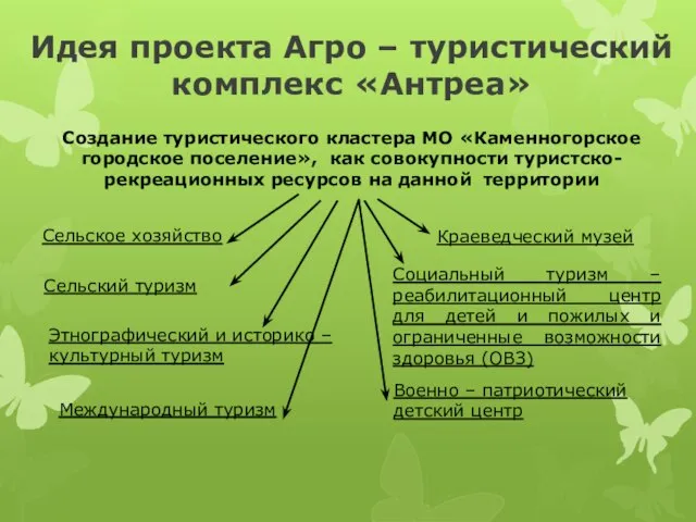 Создание туристического кластера МО «Каменногорское городское поселение», как совокупности туристско-рекреационных ресурсов