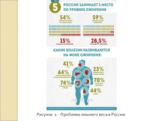 Рисунок 1 - Проблема лишнего веса в России.