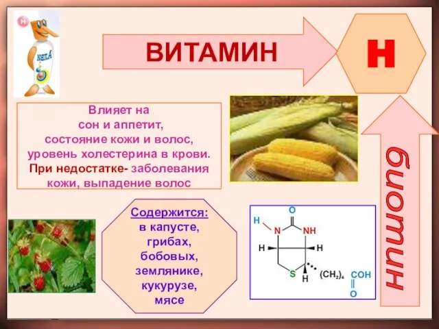 ВИТАМИН H биотин Влияет на сон и аппетит, состояние кожи и