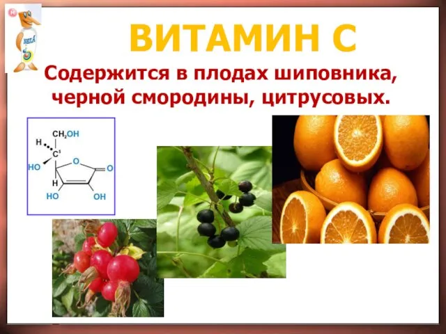 ВИТАМИН С Содержится в плодах шиповника, черной смородины, цитрусовых.