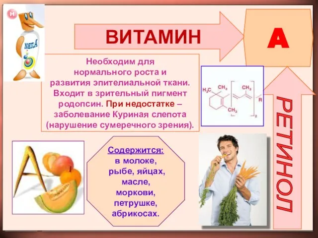 ВИТАМИН A РЕТИНОЛ Необходим для нормального роста и развития эпителиальной ткани.